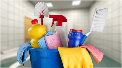 Professional Domestic Cleaner at Work