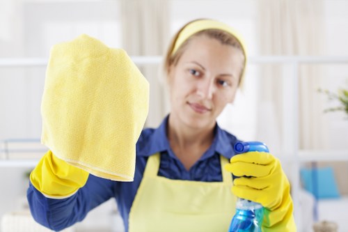Bayswater Carpet Cleaners team at work