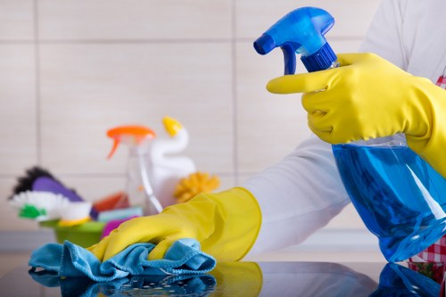 Eco-friendly carpet cleaning solutions in Bayswater