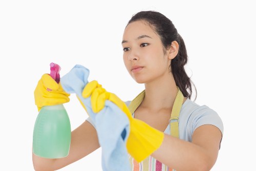 Steam cleaning carpets by Bayswater experts
