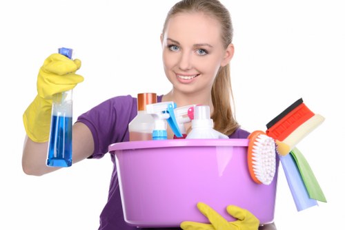 Eco-friendly gutter cleaning equipment and tools