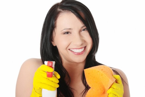 Advanced window cleaning equipment